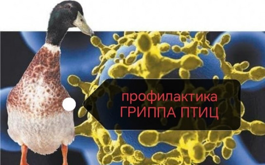 Памятка охотника
